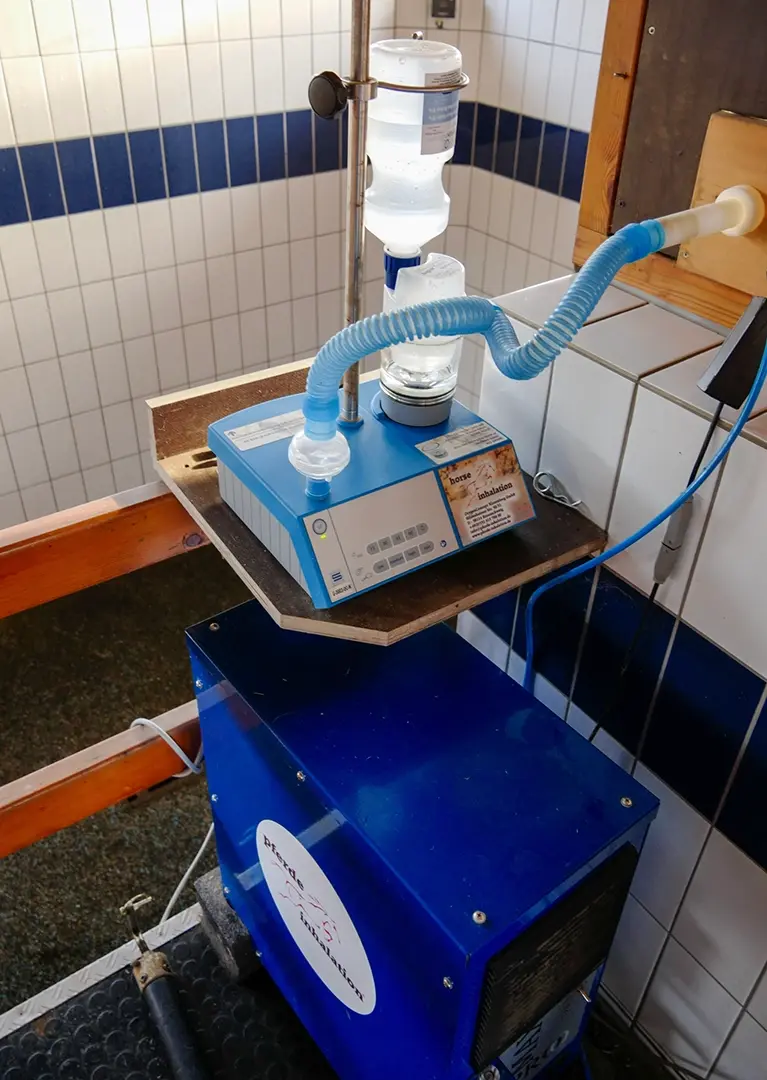 Sole-Kammer für Pferde