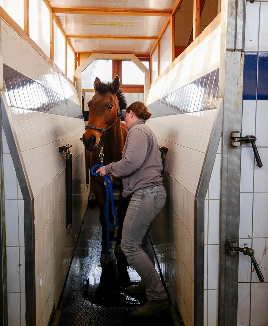 Aqua Training im Reha-Zentrum